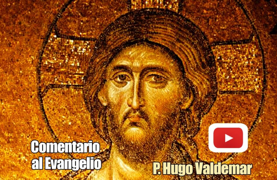 Reflexión del Evangelio. Domingo XXVII Ordinario