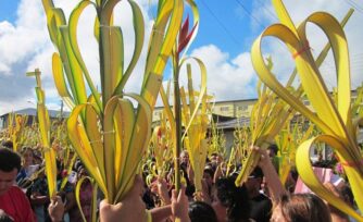 Iglesia alienta a aclamar la vida por nacer en Domingo de Ramos en Argentina