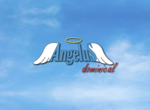 Angelus dominical: La verdad, la justicia y la paz