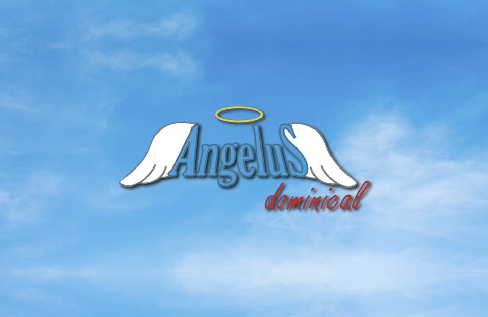 Angelus Dominical: ¿Qué es resucitar?