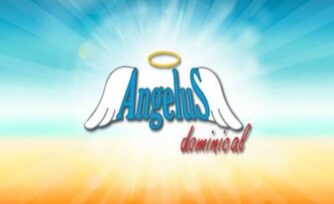 Angelus dominical: primero gatear y luego caminar