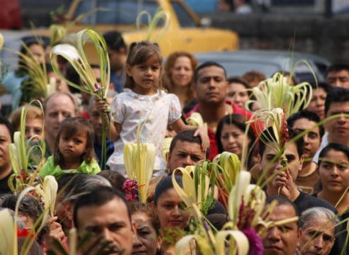 ¿Qué hacer con las palmas benditas que dan en Semana Santa?