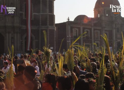 Domingo de Ramos, así inició Semana Santa en Basílica de Guadalupe