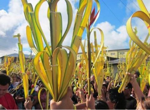 Oración para colocar las palmas benditas del Domingo de Ramos