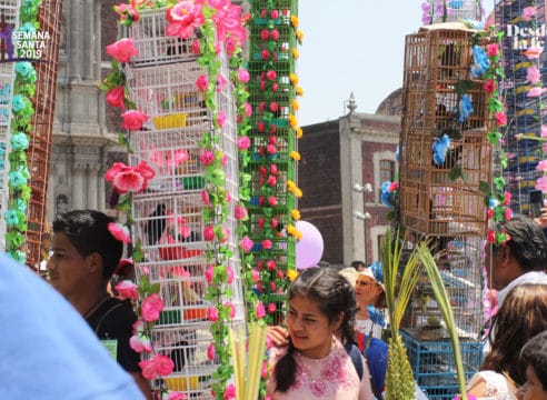 Los pájaros que cantan para Jesús en Domingo de Ramos