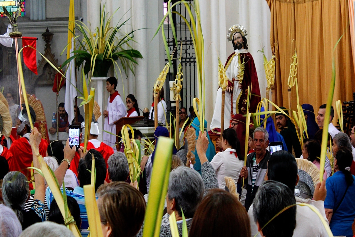 Domingo de Ramos: ¡Las palmas arriba para recibir a Jesús!