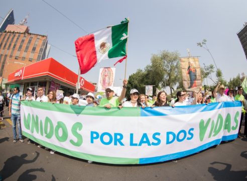 Ellos son los diputados que defendieron la vida en el Congreso