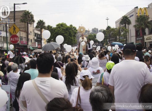 Unión de Voluntades peregrinará a Basílica por la unidad de la Iglesia