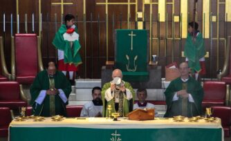 Homilía del XV Domingo de Tiempo Ordinario