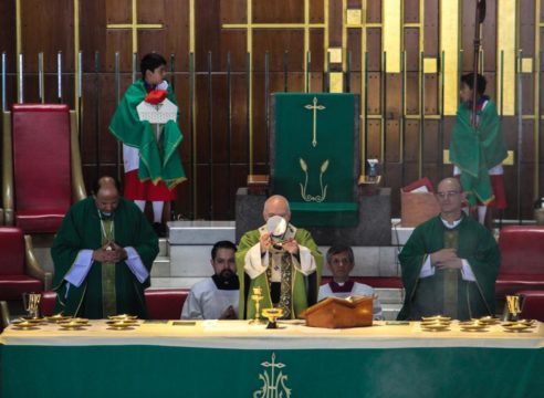 Homilía del XV Domingo de Tiempo Ordinario