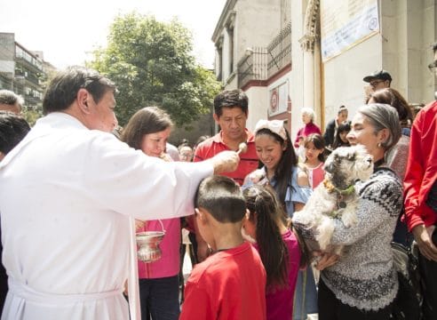 Bendicen animales en el día de San Francisco de Asís