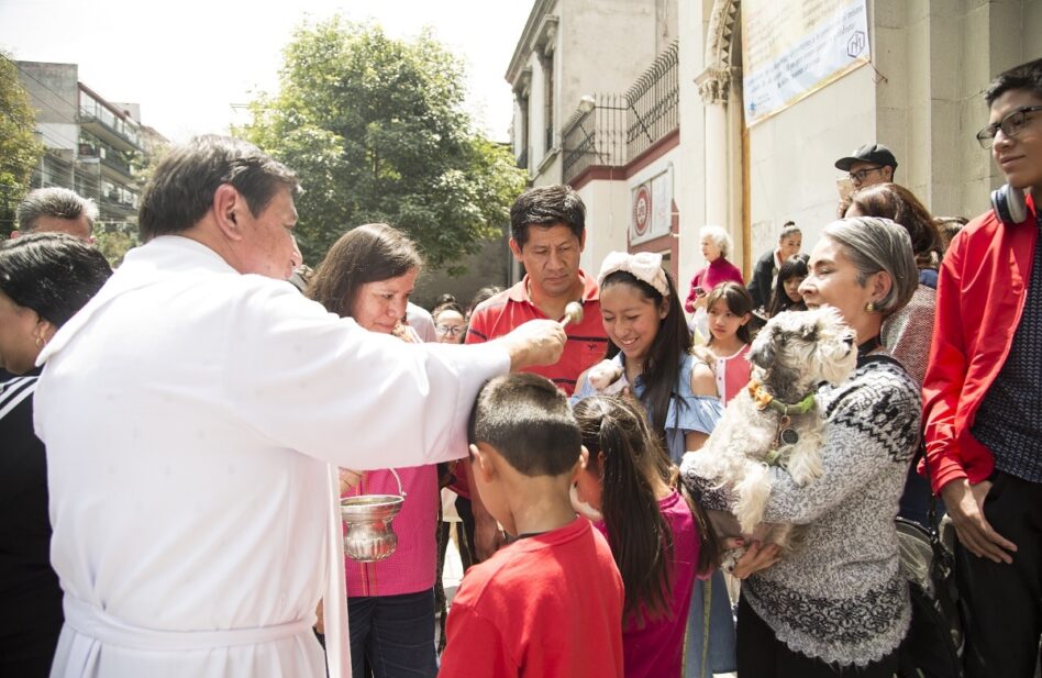 Bendicen animales en el día de San Francisco de Asís