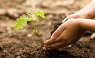 ¿Por qué el Papa nos pide contemplar la naturaleza?