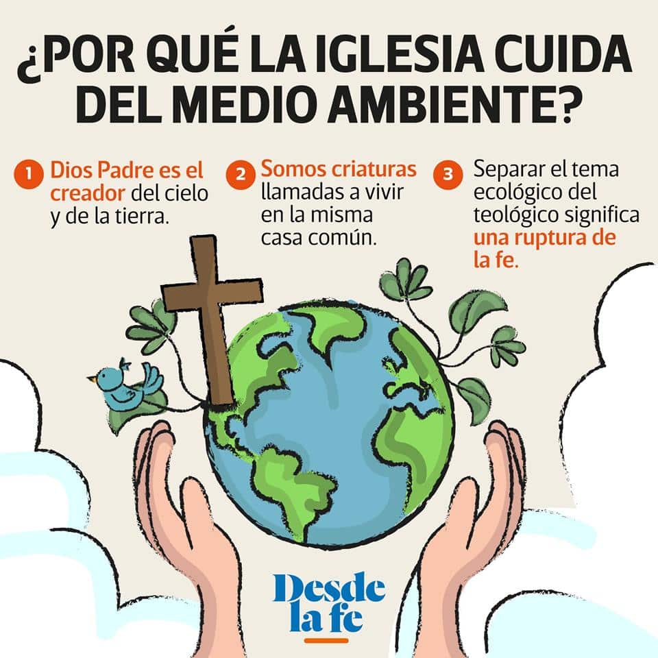 La Iglesia cuida del medio ambiente.