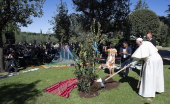 "Escuchen el grito de la Tierra", pide el Papa Francisco a la COP26