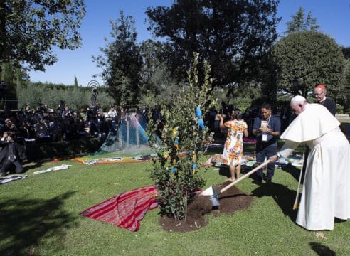 El mensaje del Papa Francisco con motivo del Jubileo de la Tierra 2020