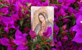 La Virgen de Guadalupe y la verdad de las flores