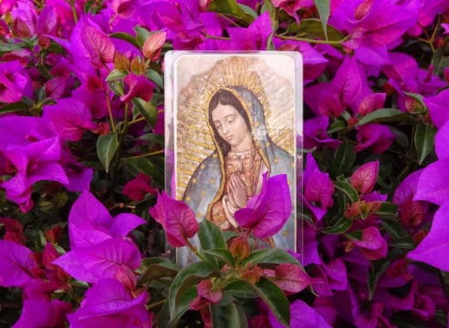 La Virgen de Guadalupe y la verdad de las flores