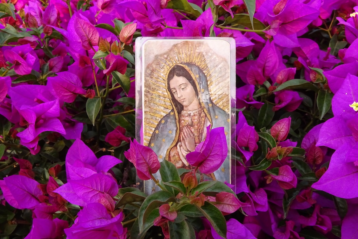 La Virgen de Guadalupe y la verdad de las flores