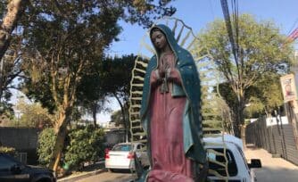 La Virgen de Guadalupe peregrina que visita hospitales Covid