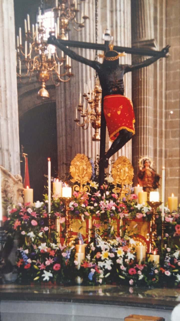 Señor del Veneno en la Catedral de México