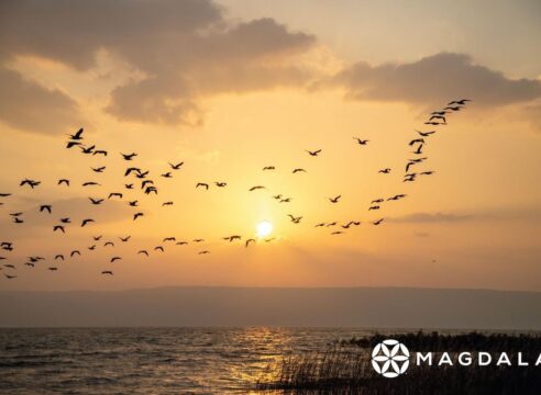 Disfruta de los atardeceres en el Mar de Galilea desde tu hogar