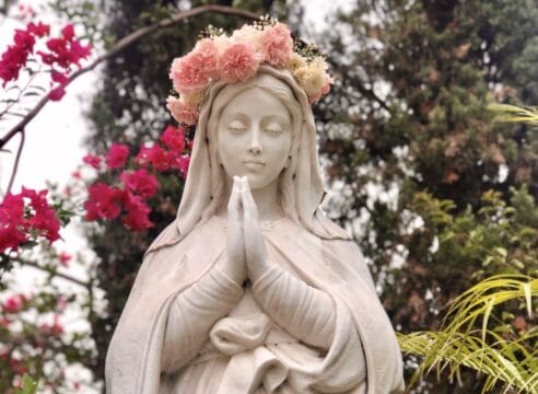 La hermosa relación entre la Virgen María y las flores