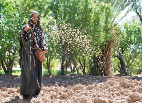 Parábolas sobre el Reino: dejar que ‘Dios sea Dios’ en nuestra vida