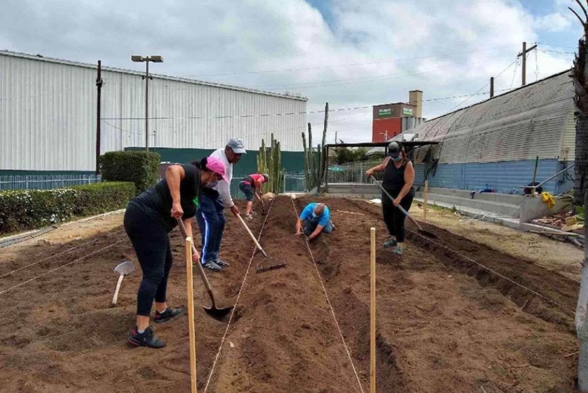 Jardinería es una de las habilidades que aprenden en el centro de recursos de esta iglesia en California. Foto: Global Sisters Report