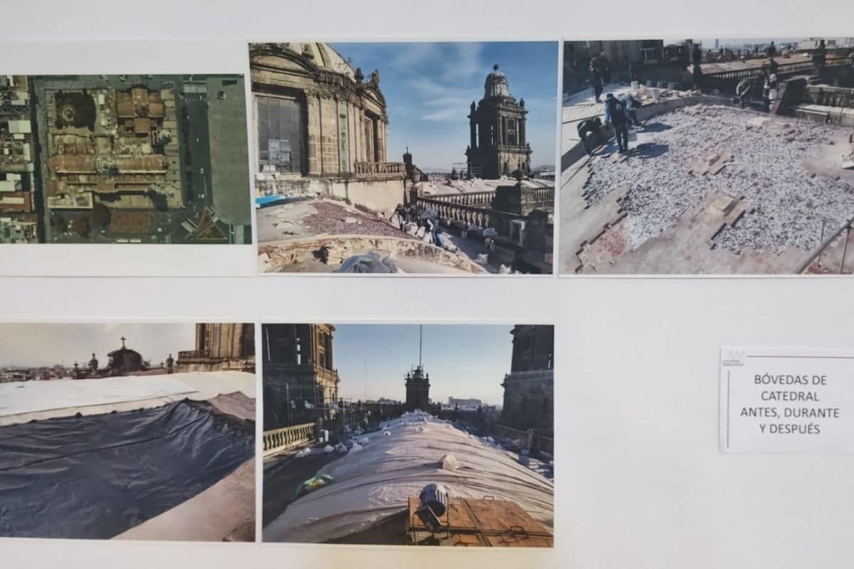 Reparación de las cúpulas y eliminación de flora nociva. Fotografías de la exposición de Catedral.