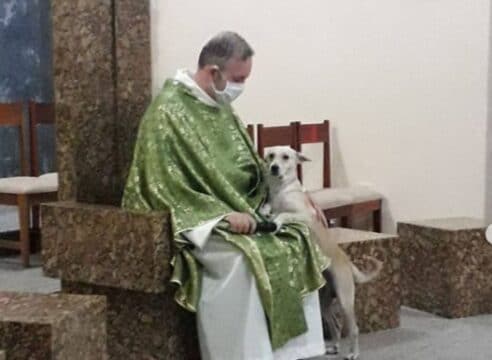 Sacerdote brasileño recoge perros callejeros y pide a fieles adoptarlos