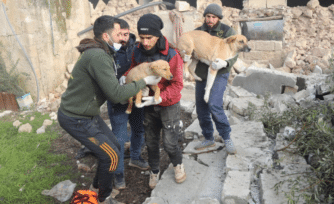 Este hombre ha rescatado de la guerra y los sismos a miles de animalitos en Siria