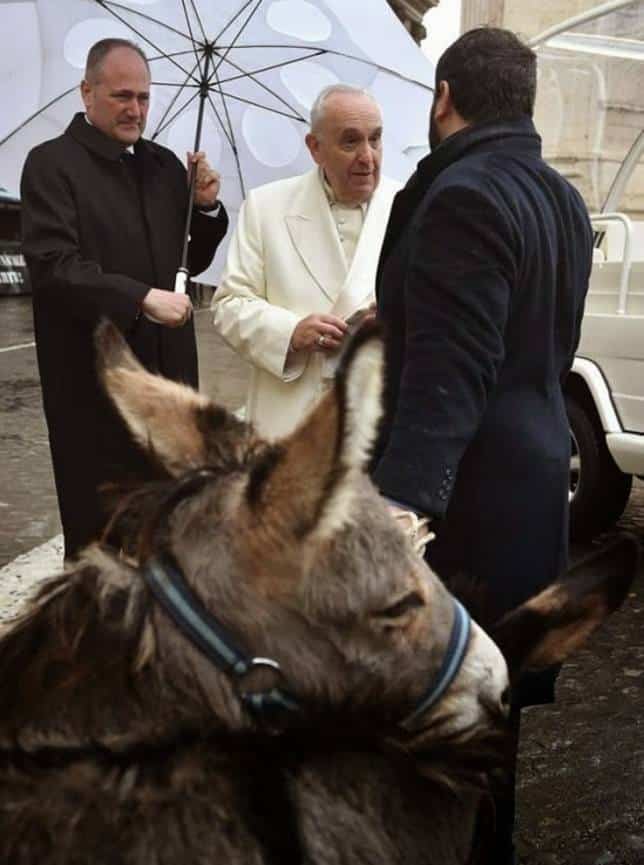 Quizás el regalo más original fueron dos burros y una carga de leche de burra, que el Papa Francisco recibió gustoso, como siempre que recibe un presente.