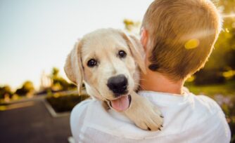 10 nombres bíblicos para perros fuertes y con carácter