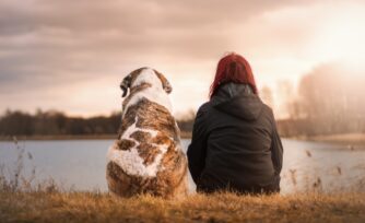 6 bellos nombres de ciudades bíblicas para tu mascota