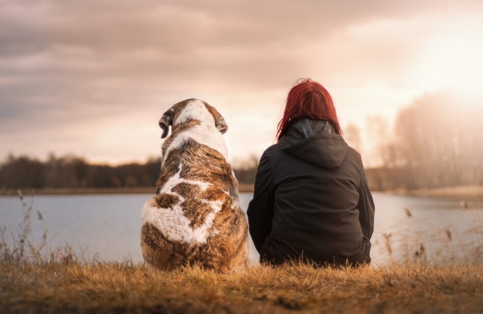 6 bellos nombres de ciudades bíblicas para tu mascota