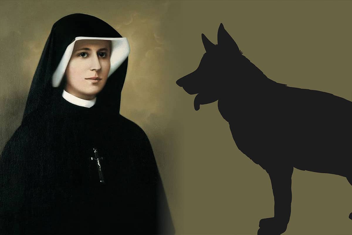 Cuando a santa Faustina se le apareció el demonio en forma de perro