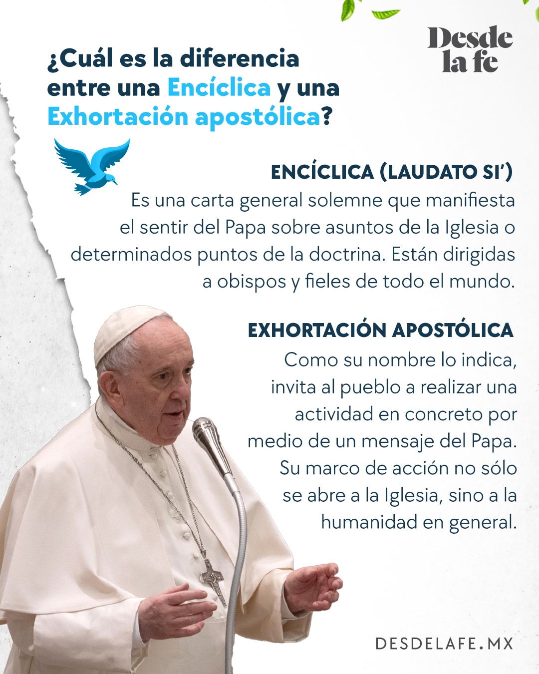 Significado de Encíclica y Exhortación Apostólica