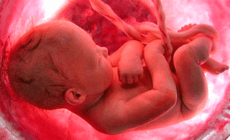 Los bebés no tienen la culpa