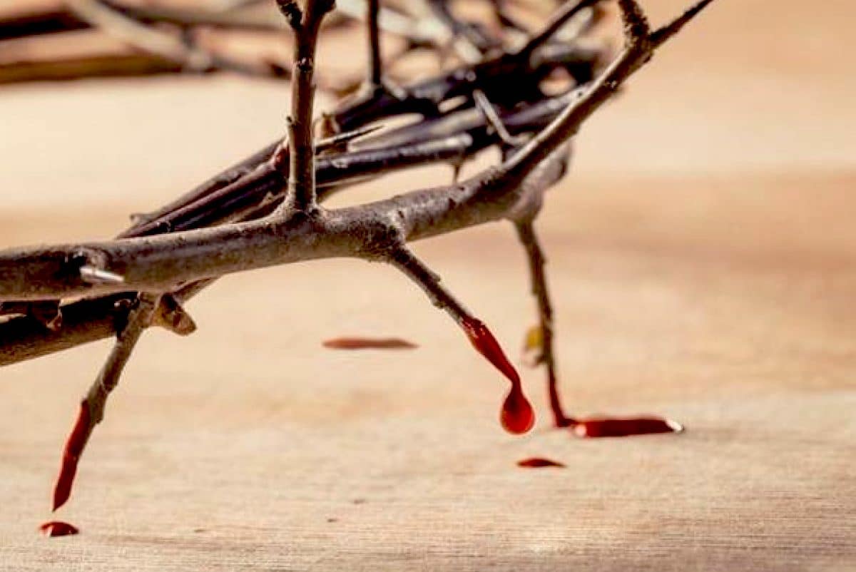 Acepta esta invitación en julio