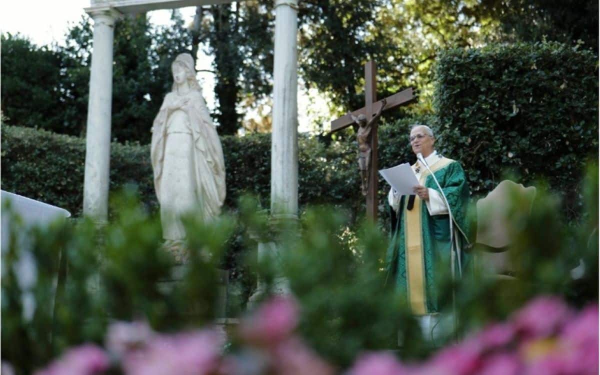 misa León cuidado creación