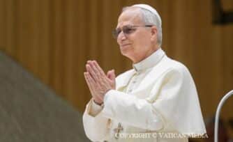 Hacia una paz desarmada y desarmante, tema del Papa León XIV para la Jornada Mundial de la Paz