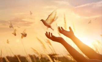 Educación y evangelización para la construcción de la paz