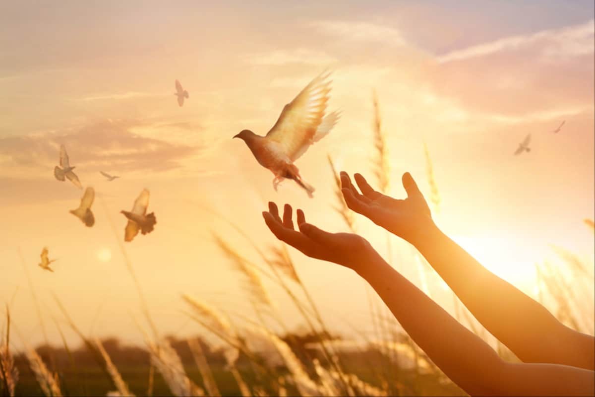 Educación y evangelización para la construcción de la paz